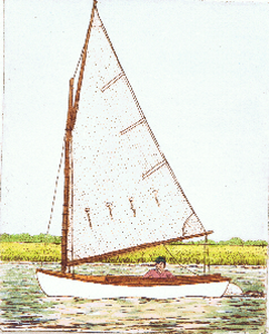 Cat Boat VI
