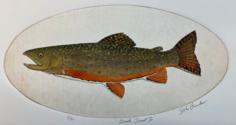 Brook Trout II