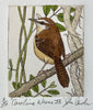 Carolina Wren XIII