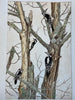 DOWNY AND HAIRY WOODPECKERS
