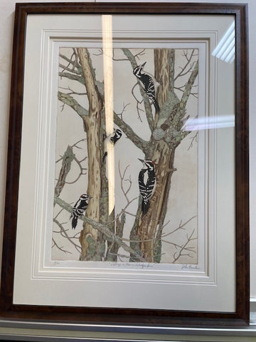 DOWNY AND HAIRY WOODPECKERS