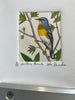 Northern Parula