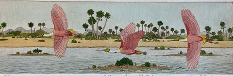Roseate Spoonbills III