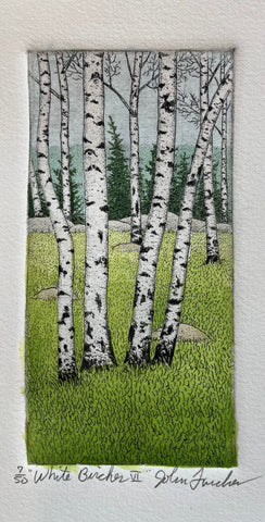 White Birches VI