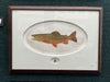 Brook Trout II