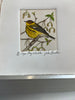 Cape May Warblers