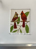 Cardinals XXI