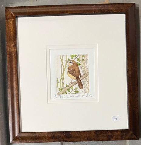 Carolina Wren XIII