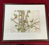 Carolina wrens & Vines