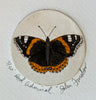 Red Admiral