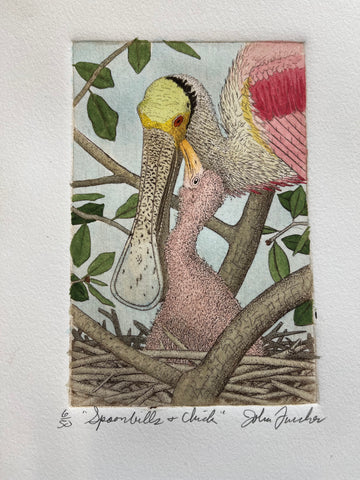 Spoonbills & Chick