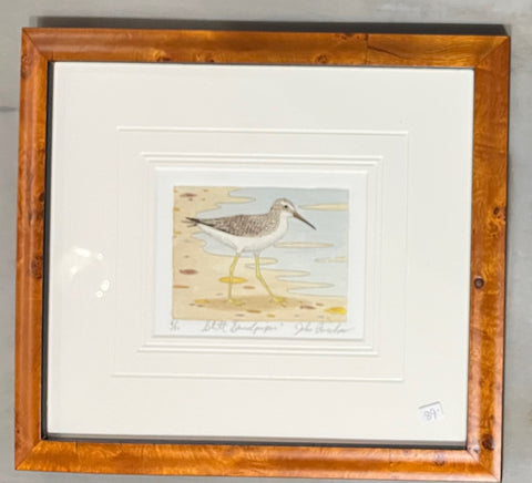 Stilt Sandpiper