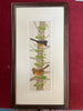 Eastern Towhees