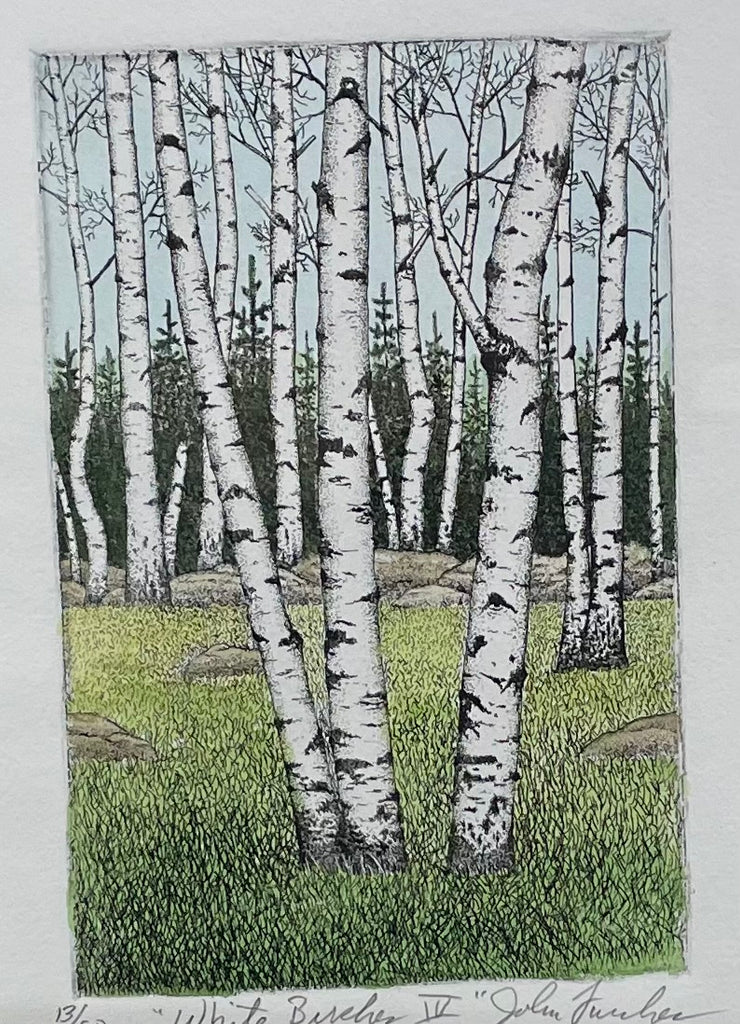 Doves in White Birches, 20 Cards & 21 Envelopes Doves in White Birches, 20 Cards & 21 Envelopes