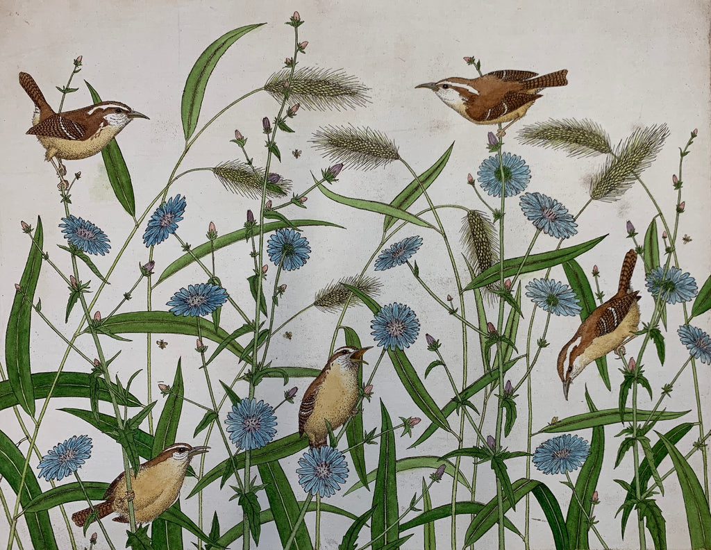 Carolina Wrens and Chicory with Foxtails