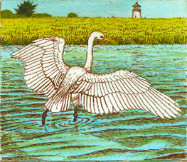 Egret Fishing