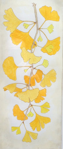 Ginko I