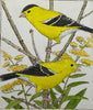 Goldfinches IV