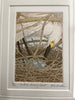 Nesting Snowy Egret