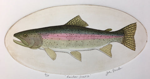 Rainbow Trout III