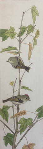 Ruby Crowned Kinglets