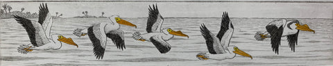 White Pelicans in Flight