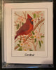 Bird note cards