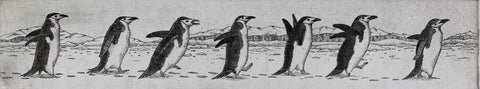 Chinstrap Penguins