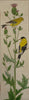 Goldfinches and Thistle II