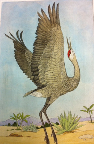 Sandhill Crane I